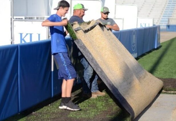 Turf-Repair-1
